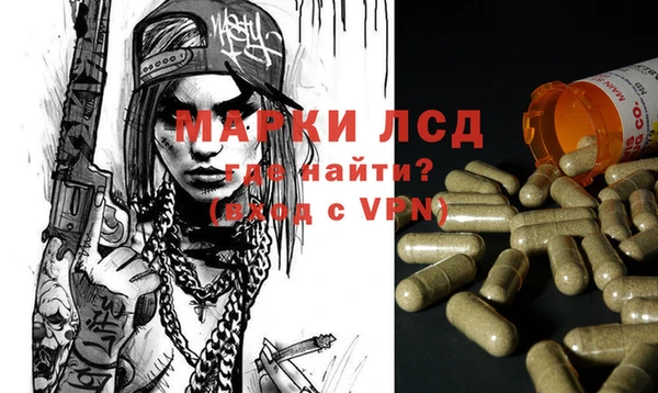 трава Иннополис