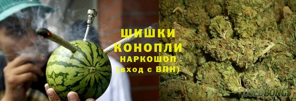 трава Иннополис