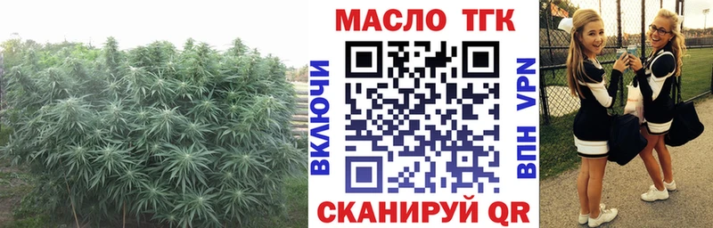 Дистиллят ТГК гашишное масло  Купить  Лобня 