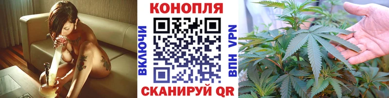 Конопля марихуана  Купить где  Лобня 